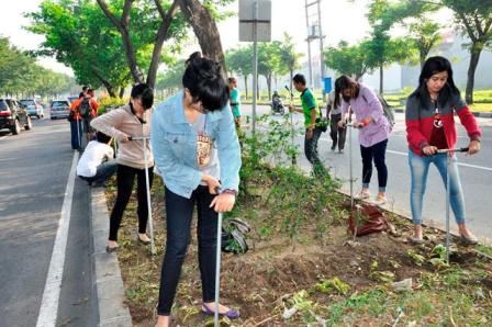 Biopori Bermanfaat untuk Menyerap Air Hujan
